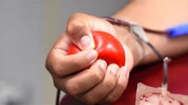 О мерах поддержки доноров крови